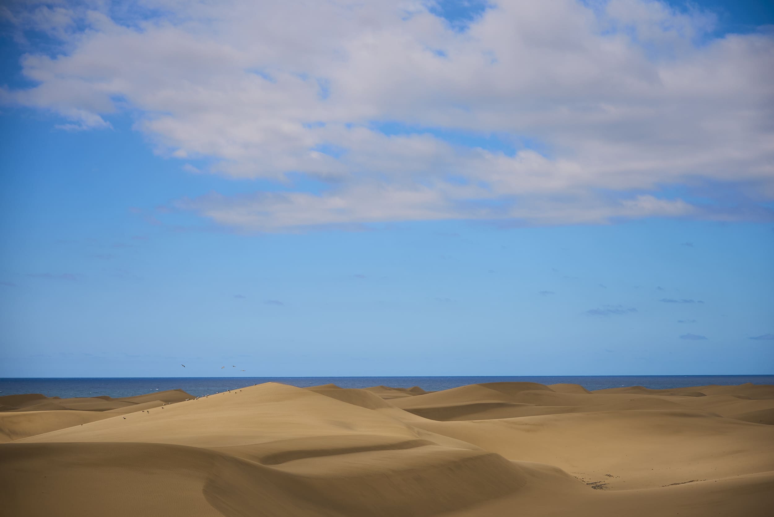 Scenic view