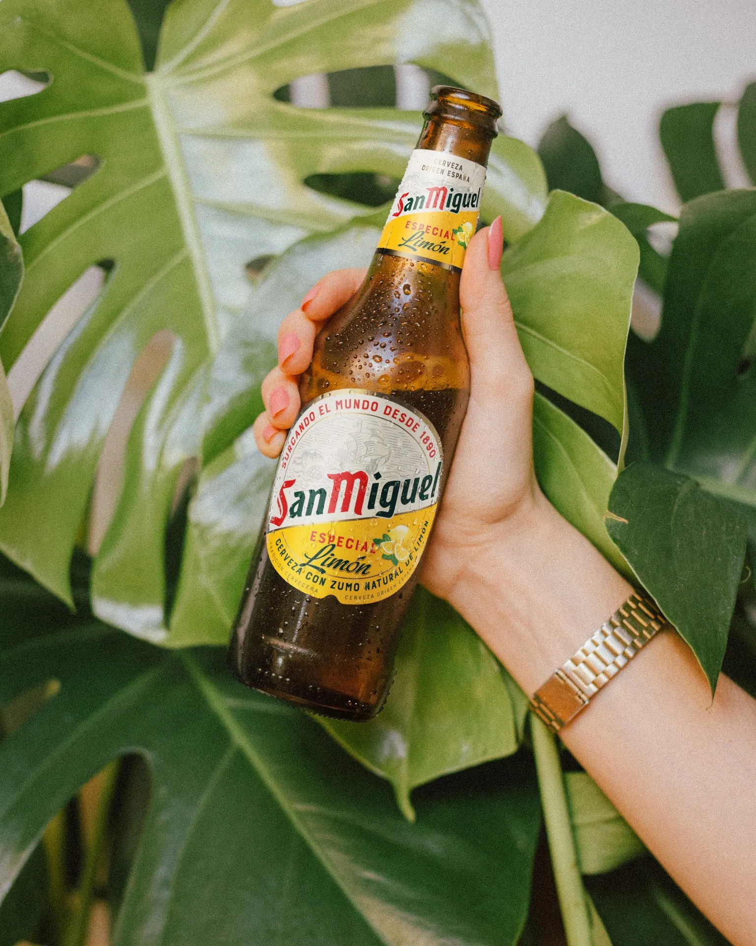 cerveza limón - ¿CÓMO ES?