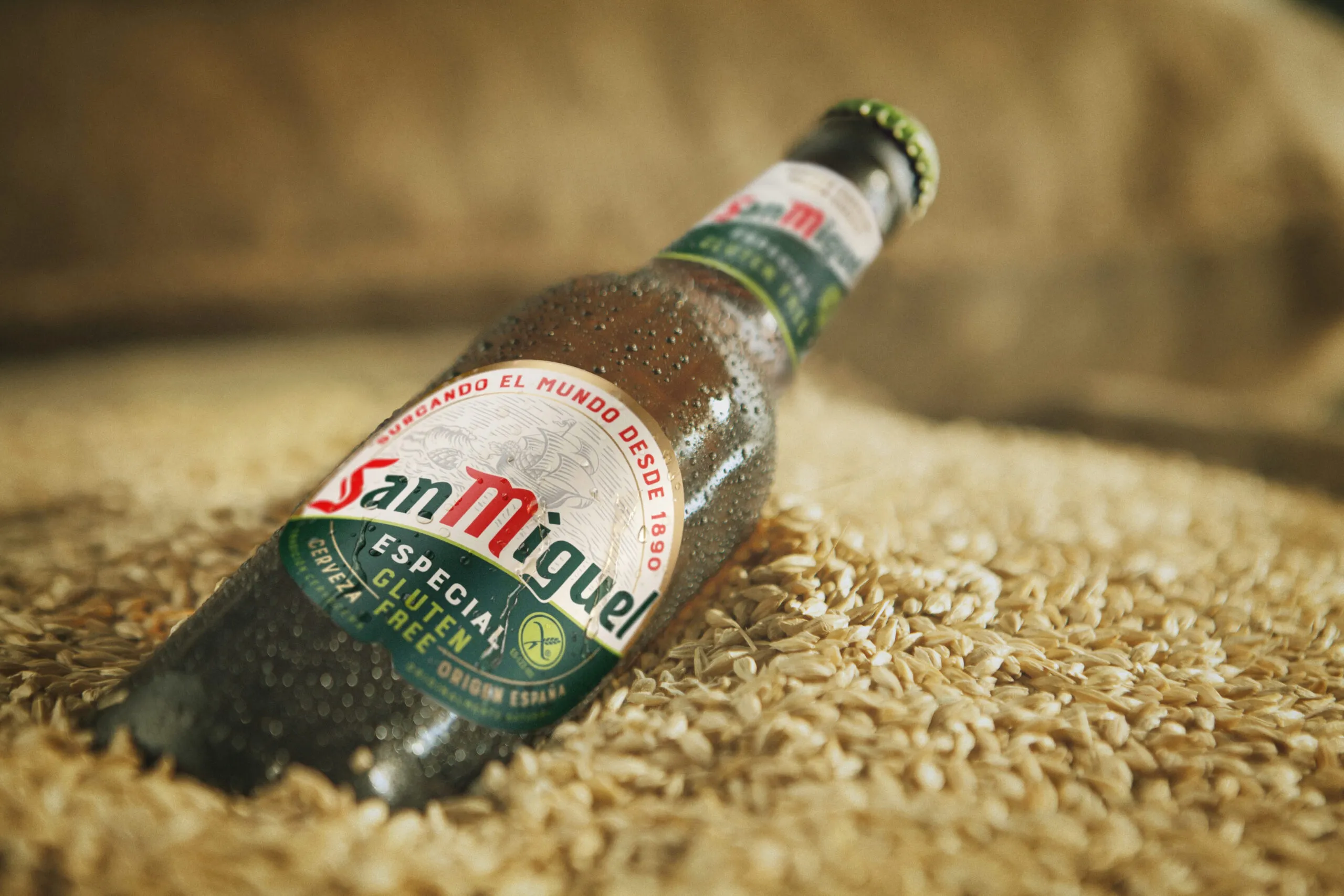 cerveza sin gluten - ¿CÓMO SERVIRLA?