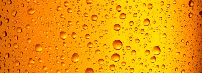 cerveza sin gluten - ¿CÓMO ES?