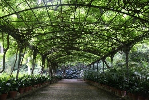 Jardín Botánico-Histórico La Concepción