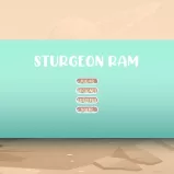 Sturgeon Ram 
