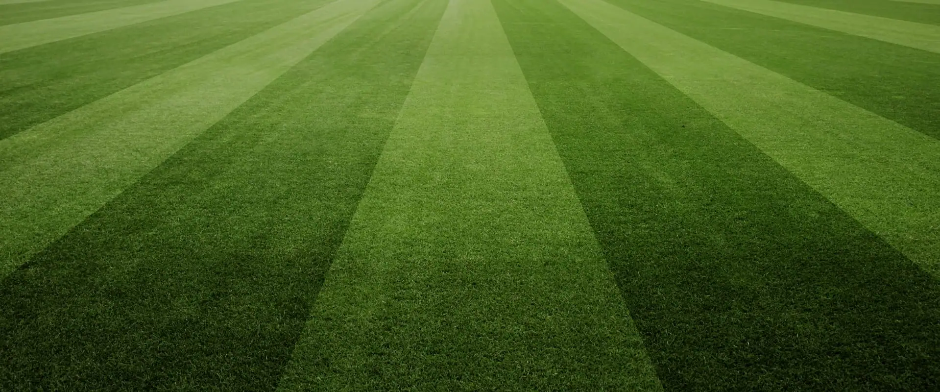 Cesped Campo de Fútbol