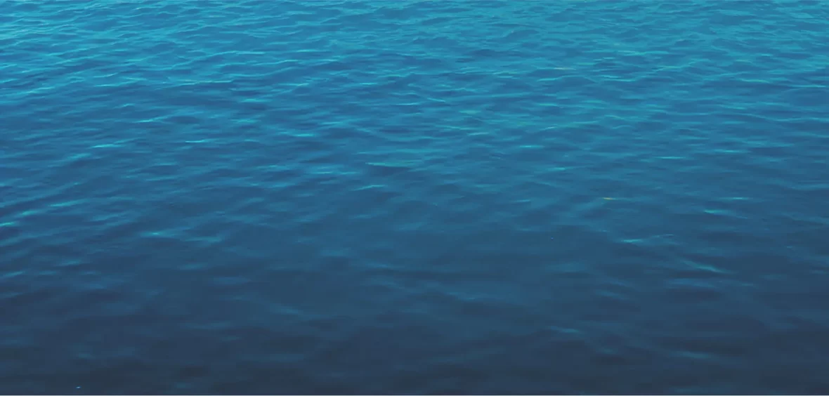 Fondo
