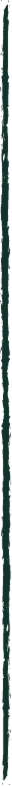 Trazado
