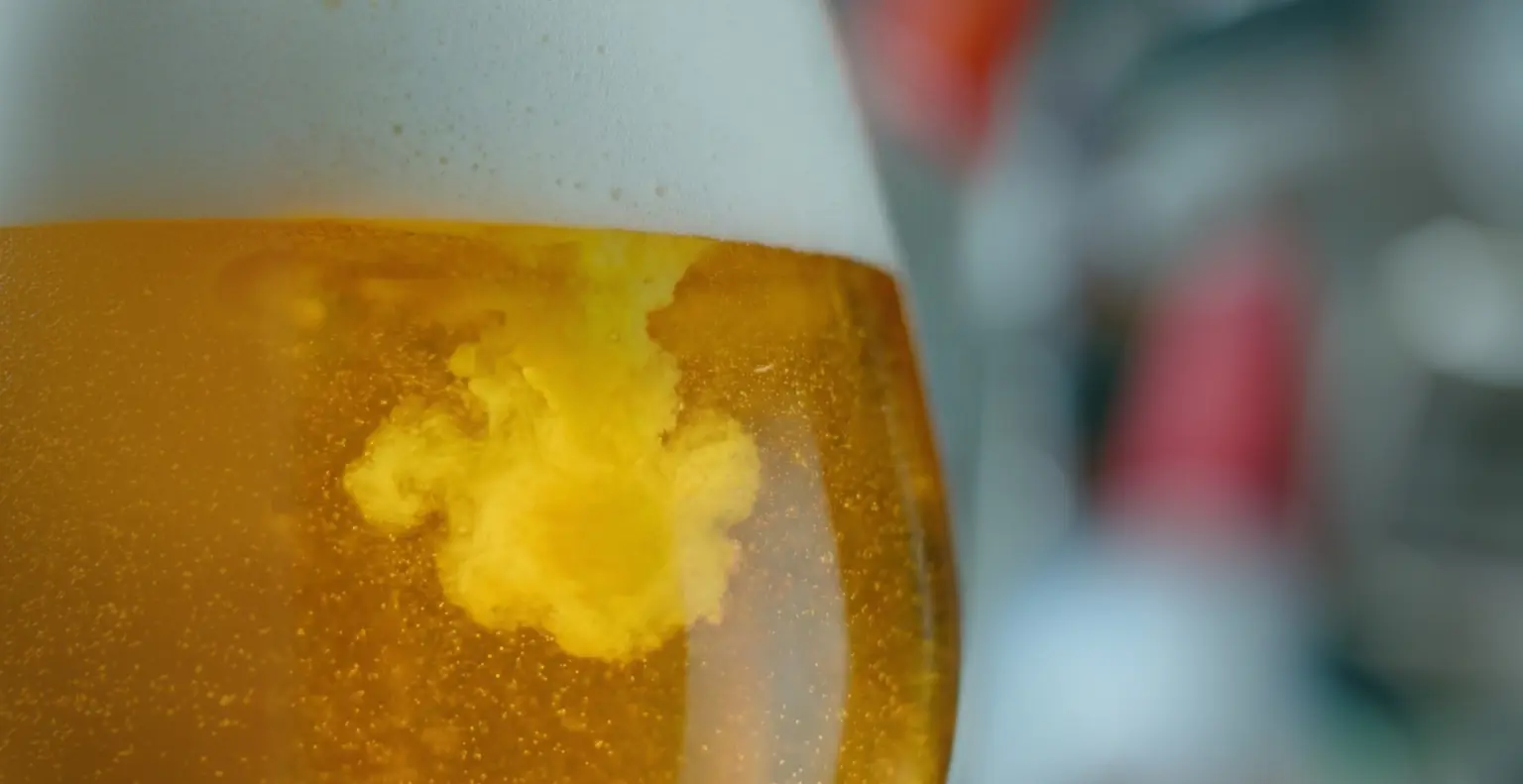 Cómo servir y degustar la cerveza 